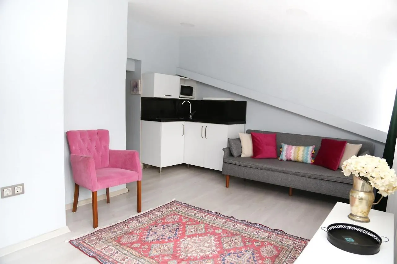 Ditto Flats Istanbul Apartment